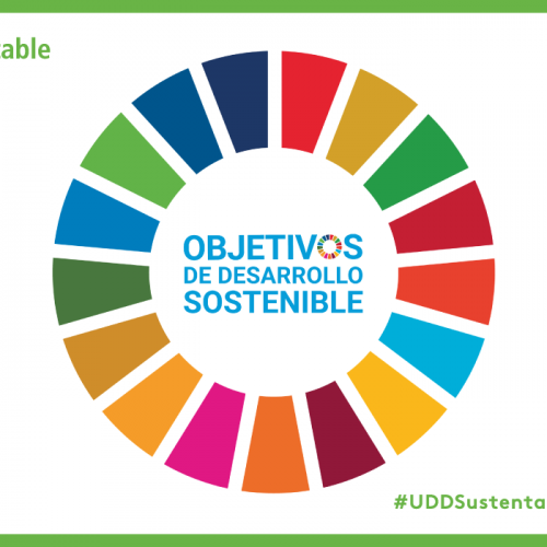 Imagen 17 ODS círculo dividido en 17 partes, sobre fondo blanco, con el logo de UDD Sustentable.